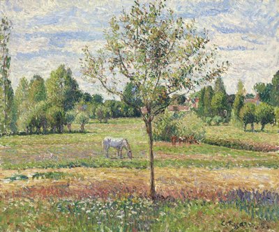 The Meadow with Gray Horse, Eragny by Camille Jacob Pissarro